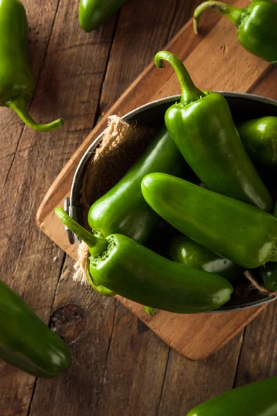 Pimentas verdes orgânicas de jalapeno — Fotografia de Stock