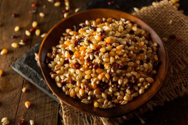 Ham organik çok renkli alaca patlamış mısır