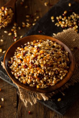 Ham organik çok renkli alaca patlamış mısır