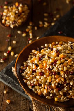 Ham organik çok renkli alaca patlamış mısır