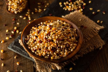 Ham organik çok renkli alaca patlamış mısır