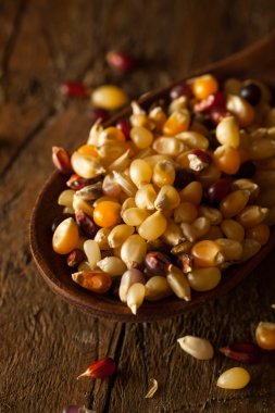 Ham organik çok renkli alaca patlamış mısır