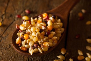 Ham organik çok renkli alaca patlamış mısır