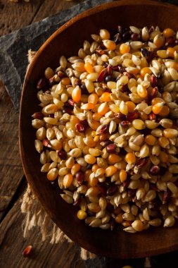 Ham organik çok renkli alaca patlamış mısır