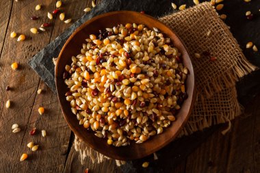 Ham organik çok renkli alaca patlamış mısır