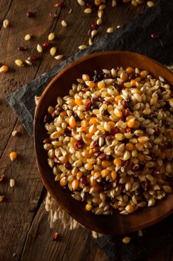 Ham organik çok renkli alaca patlamış mısır