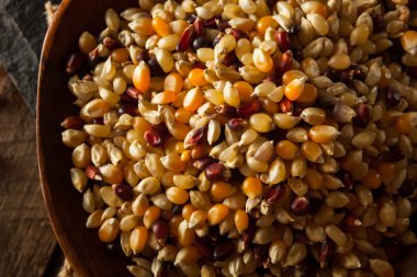 Ham organik çok renkli alaca patlamış mısır