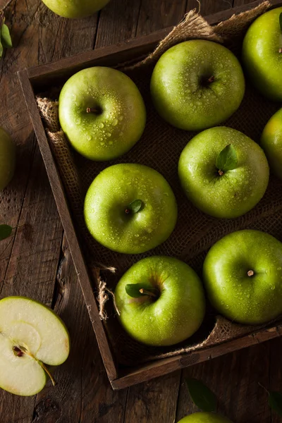 Zöld granny smith almával — Stock Fotó