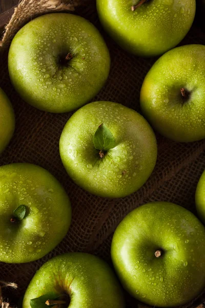 Yeşil granny smith elma — Stok fotoğraf