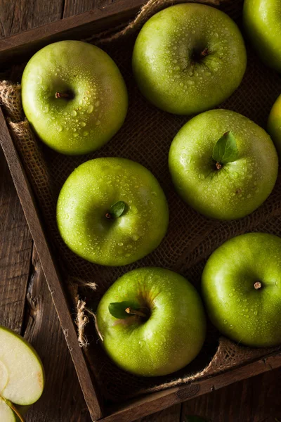 녹색 할머니 스미스 사과 — 스톡 사진