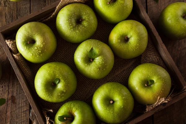 Raw Organic Green Granny Smith Apples Ready Eat Stock Photo by ©bhofack2  605457994