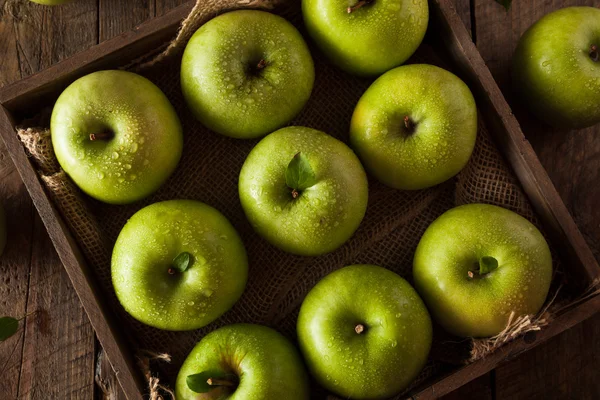 Πράσινο granny smith μήλο — Φωτογραφία Αρχείου