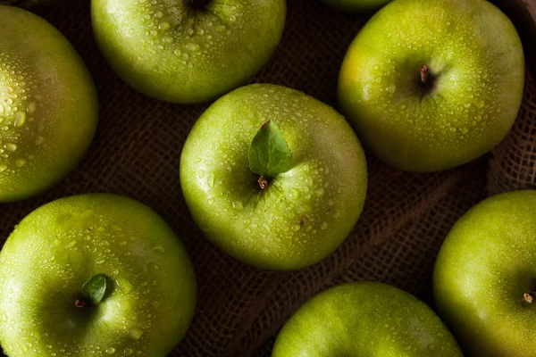 Gröna granny smith apple — Stockfoto