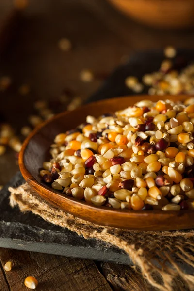 Ham organik çok renkli alaca patlamış mısır