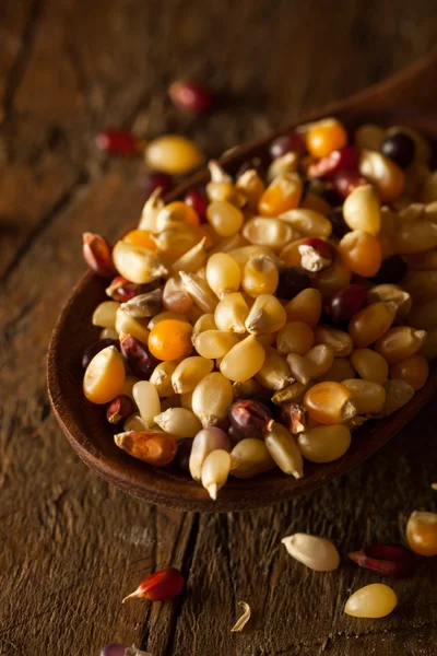 Ham organik çok renkli alaca patlamış mısır