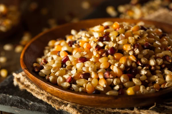 Palomitas de maíz Calico crudo orgánico multicolor — Foto de Stock