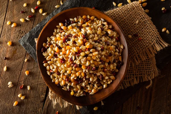 Ham organik çok renkli alaca patlamış mısır