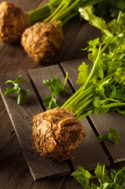 Raw Organic Celery Root clipart