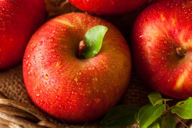 Çiğ kırmızı Fuji elma