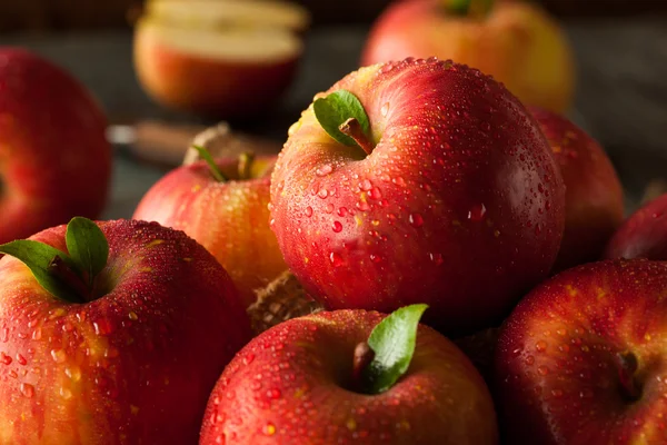 Raw Red Fuji Apples — Stock Photo, Image