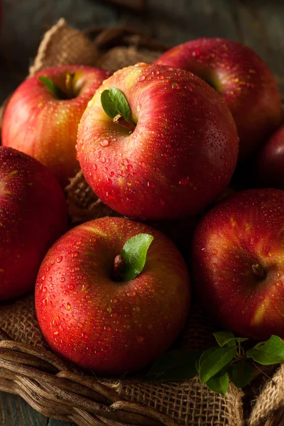 Raw Red Fuji Apples — Stock Photo, Image