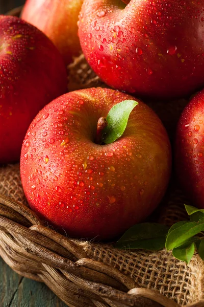 Raw Red Fuji Apples — Stock Photo, Image