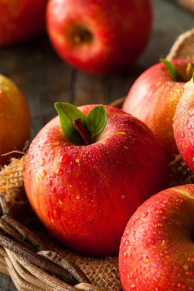 Raw Red Fuji Apples — Fotografie, imagine de stoc