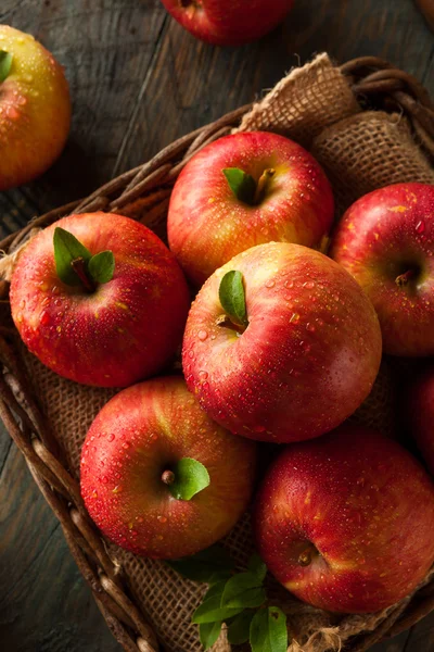 Raw Red Fuji Apples — Fotografie, imagine de stoc