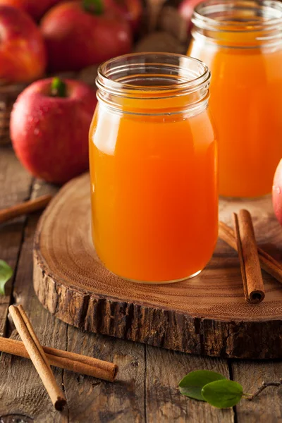 Organische Oranje Appel Cider — Stockfoto