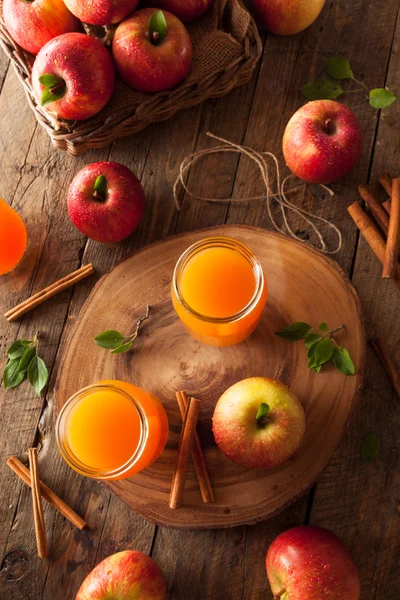 Oranžové ekologické jablečný mošt — Stock fotografie