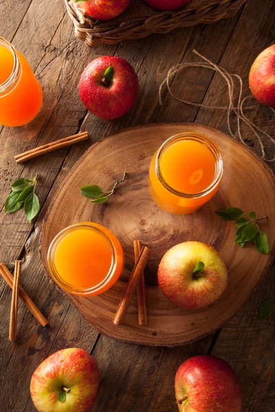 Organic Orange Apple Cider — Stock Photo, Image