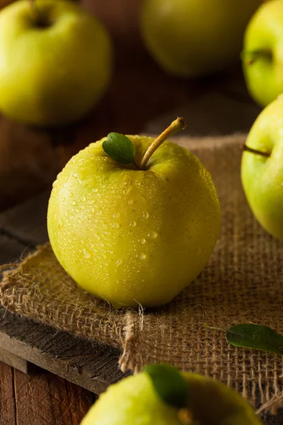 Råa ekologiska Golden Delicious äpplen — Stockfoto