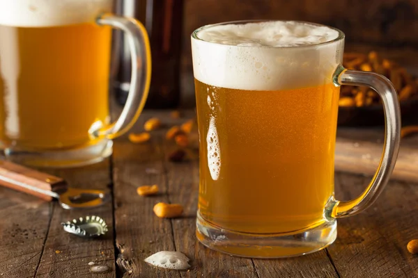 Cerveza dorada en un vaso Stein — Foto de Stock