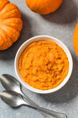 Raw Organic Cooked Pumpkin Puree in a Bowl