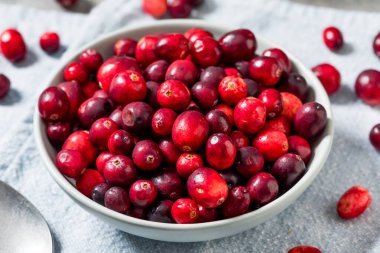 Healthy Organic Red Raw Cranberries in a Bowl
