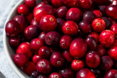 Healthy Organic Red Raw Cranberries in a Bowl