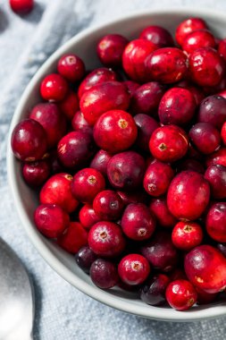 Healthy Organic Red Raw Cranberries in a Bowl