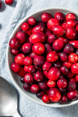 Healthy Organic Red Raw Cranberries in a Bowl