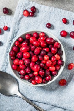 Healthy Organic Red Raw Cranberries in a Bowl