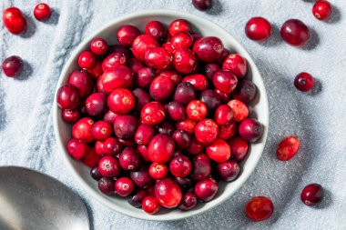 Healthy Organic Red Raw Cranberries in a Bowl