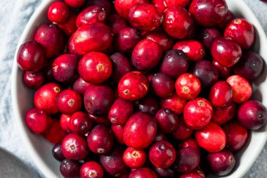 Healthy Organic Red Raw Cranberries in a Bowl