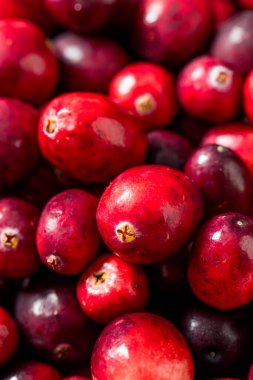 Healthy Organic Red Raw Cranberries in a Bowl