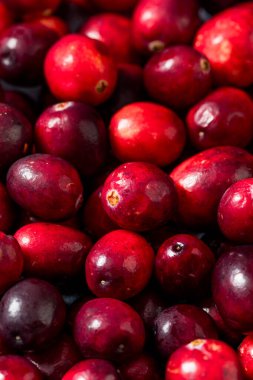 Healthy Organic Red Raw Cranberries in a Bowl