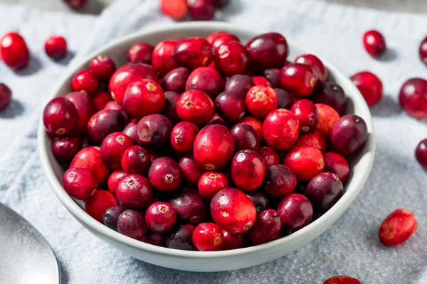 Healthy Organic Red Raw Cranberries in a Bowl
