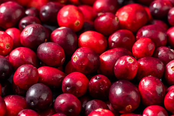 Healthy Organic Red Raw Cranberries in a Bowl