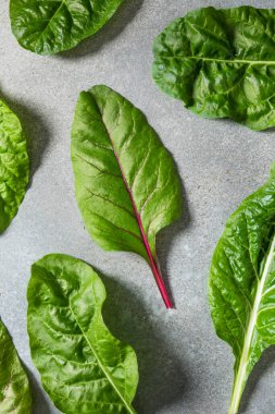 Organik Çiğ Gökkuşağı Chard ile Pişirmeye Hazır