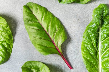 Organik Çiğ Gökkuşağı Chard ile Pişirmeye Hazır