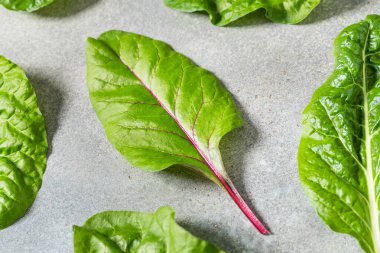 Organik Çiğ Gökkuşağı Chard ile Pişirmeye Hazır