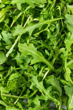 Organik Sağlıklı Yeşil Arugula Marul Sebzeleri