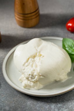 Sağlıklı Organik Beyaz Burrata Mozzarella Peyniri Pişirmeye Hazır
